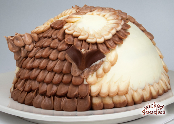 3D Owl Cake Tutorial