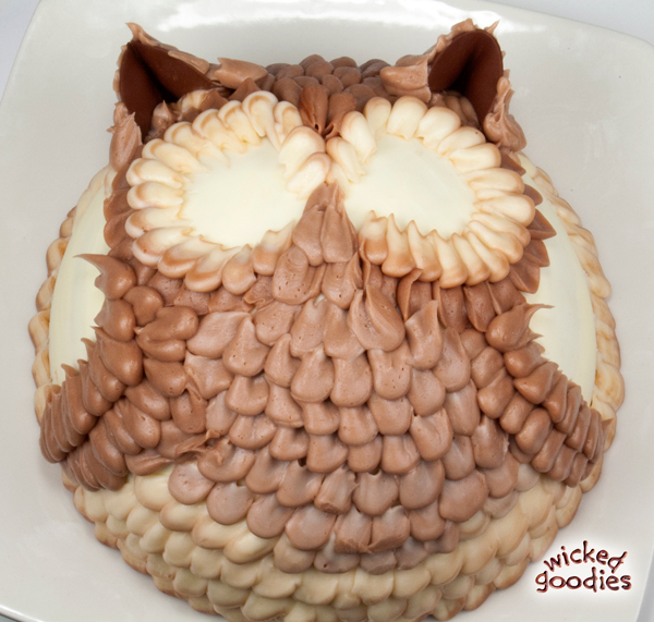 3D Owl Cake Tutorial