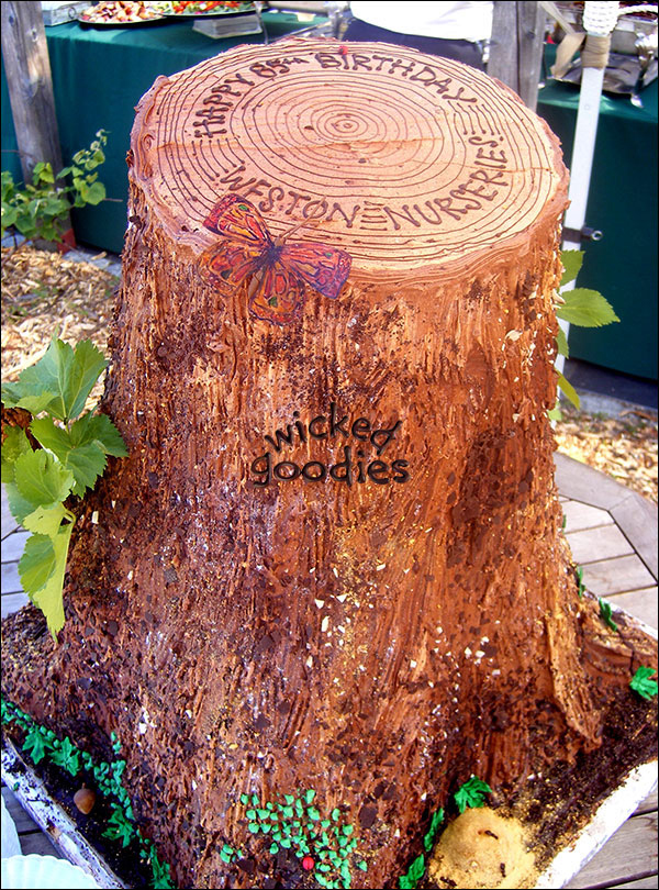 Tree Stump Cake