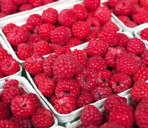 Chocolate Raspberry Cake Filling Recipe