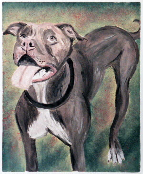 Pit bull portrait in monotype