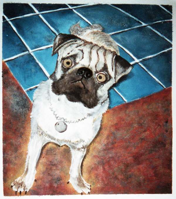 Pug portrait in monotype