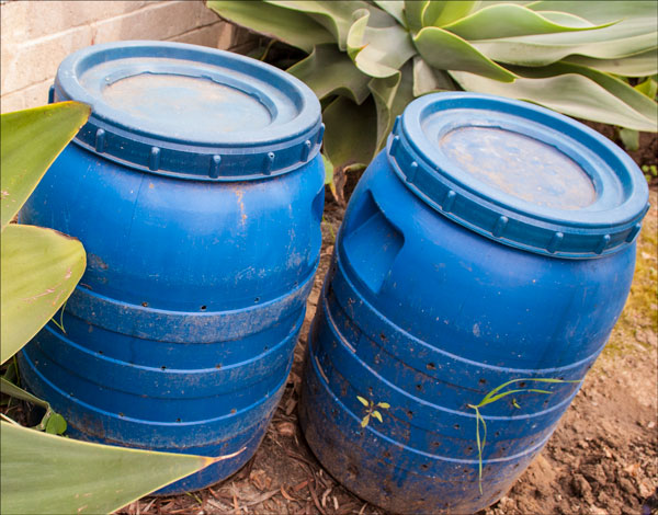 urban driveawy bin composting