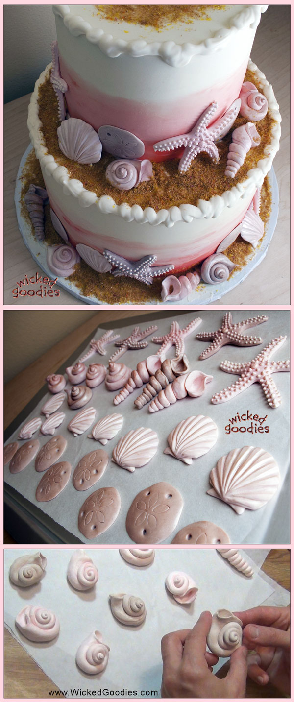 Modeling Chocolate Seashells