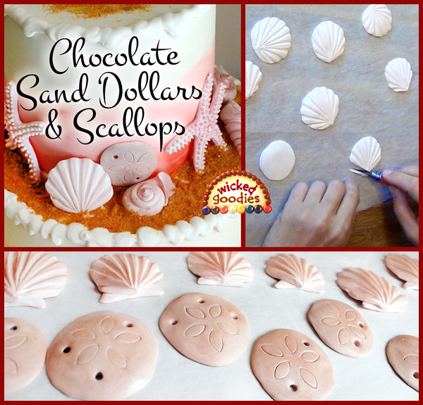 Modeling Chocolate Sand Dollars and Scallop Shells