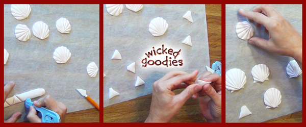 Modeling Chocolate Sand Dollars and Scallop Shells