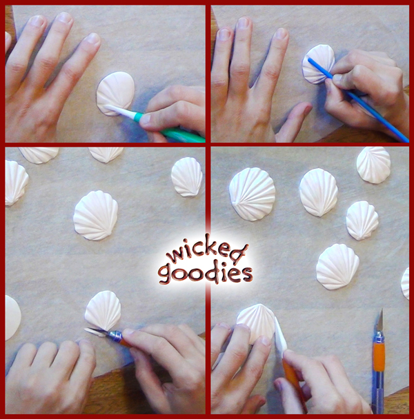 Modeling Chocolate Sand Dollars and Scallop Shells