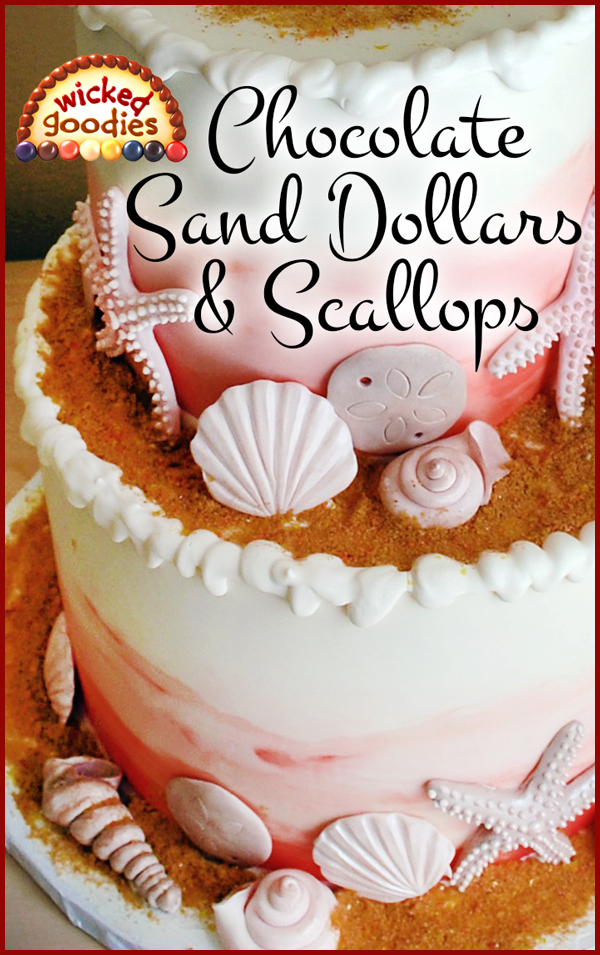 Modeling Chocolate Sand Dollars and Scallop Shells