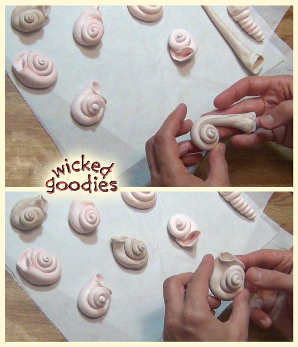 Modeling Chocolate Snail Shells