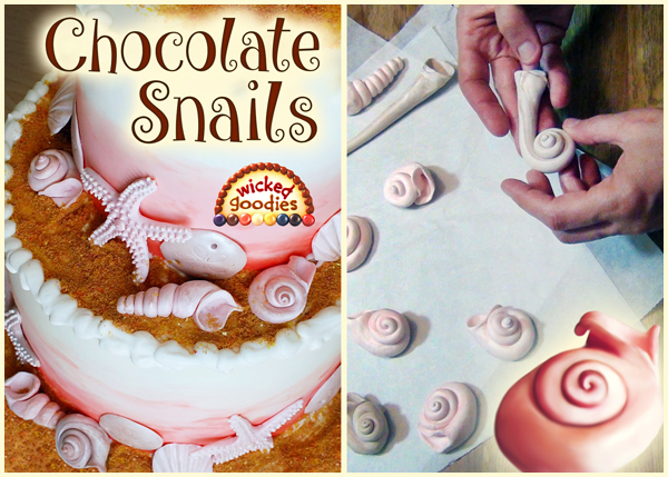 Modeling Chocolate Snail Shells