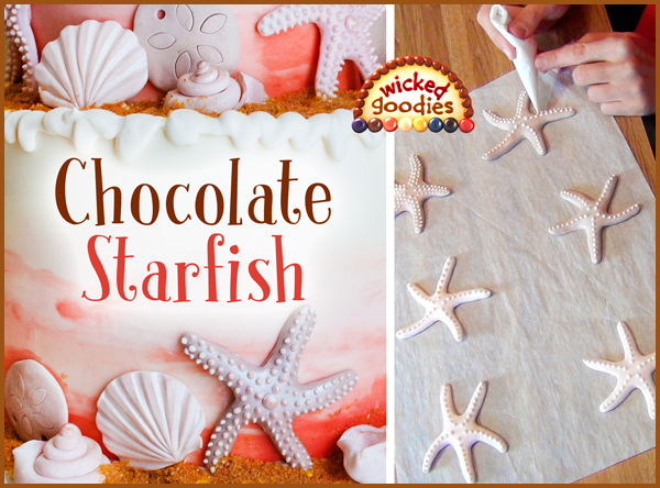 Modeling Chocolate Seashells